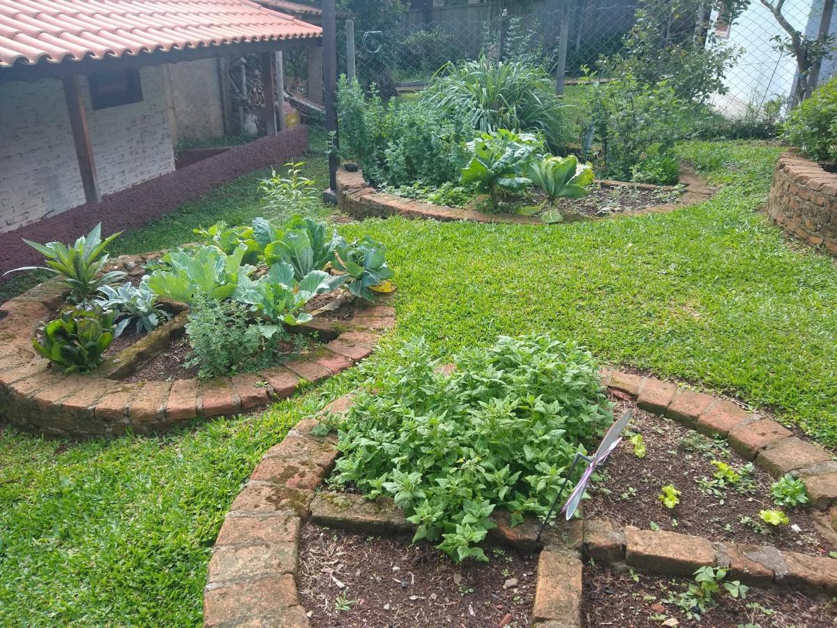 Cantinho Do Canarinho Apartment Monte Verde  Luaran gambar